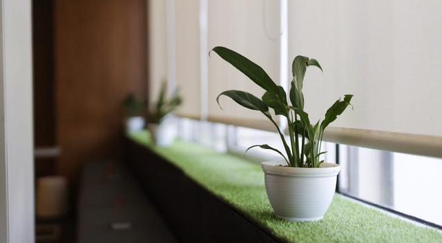 MITJ Smart Office, photo 9